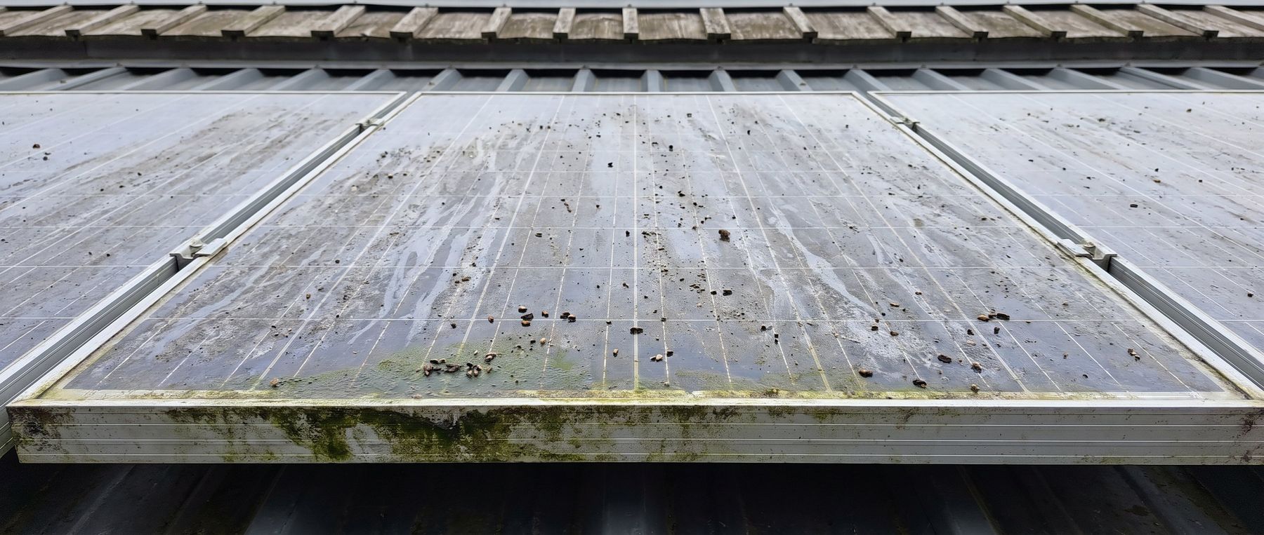 Verschmutzte Solarmodule auf einem Stalldach mit Staubfilm und Algen am Rahmen